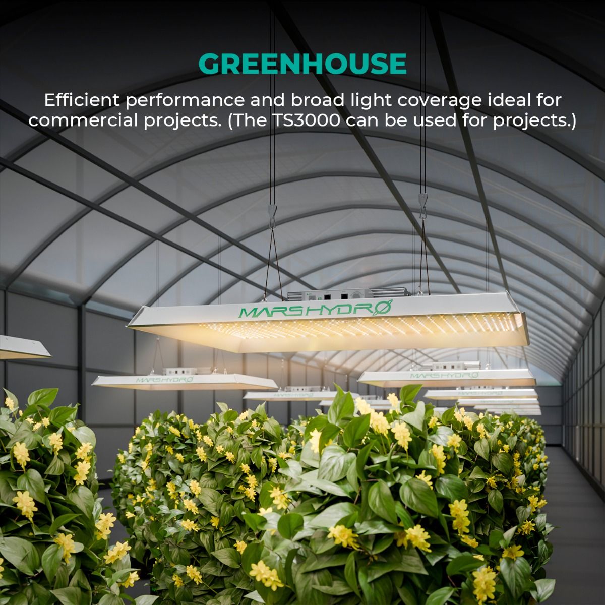 Mars Hydro TS 3000 450W Full Spectrum LED Grow Light For Hydroponics