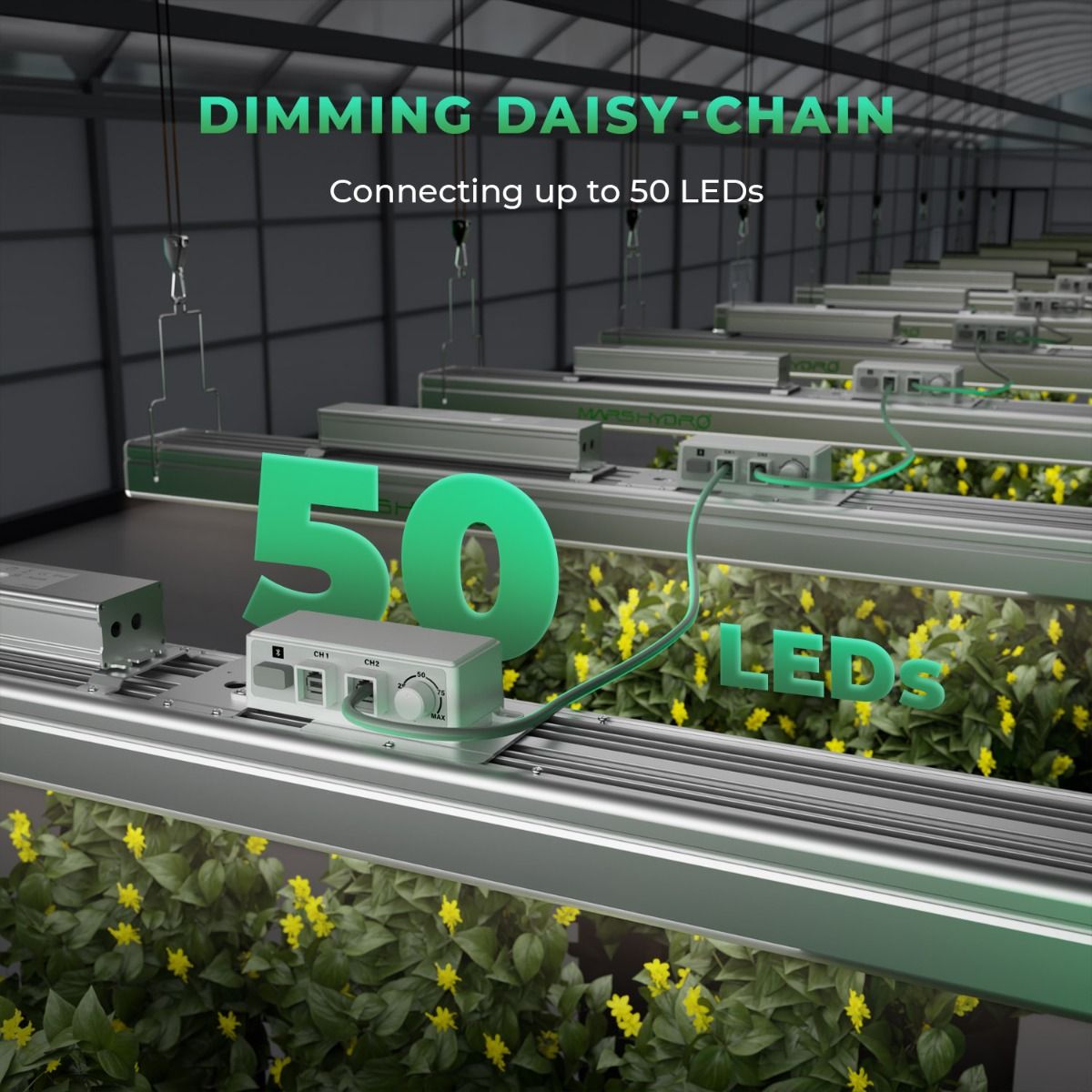 2024 NEW Mars Hydro SP 3000 300W LED Grow Light Greenhouse Edition