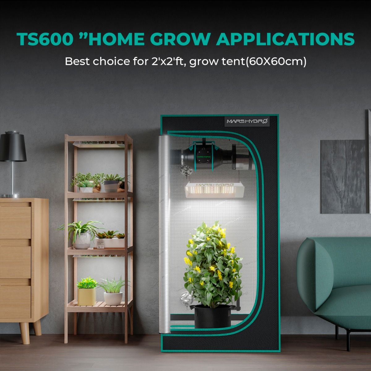 Mars Hydro TS 600 Full Spectrum 100W LED Grow Light