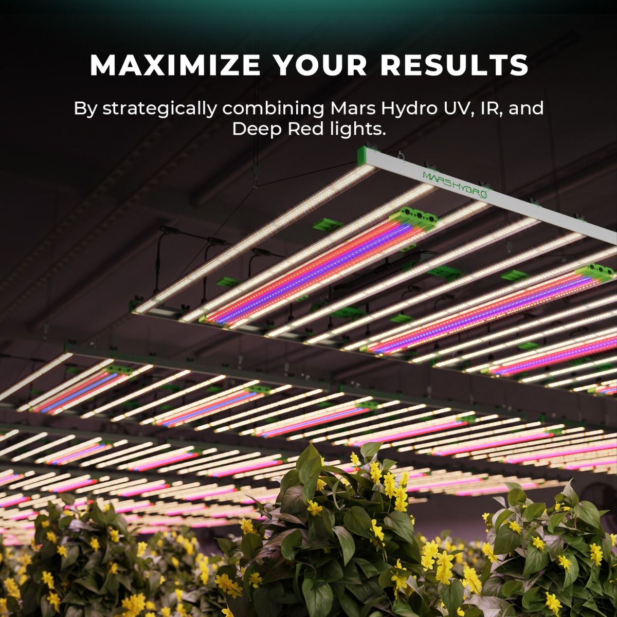 Mars Hydro Adlite UV30+IR15+Deep Red R30 Supplemental LED Grow Light Bars with 3 Timers and Adlite Mounting Bracket
