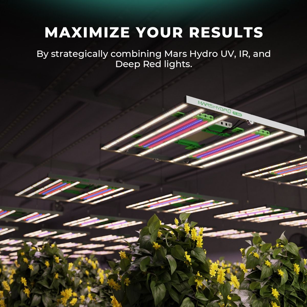 Mars Hydro Adlite R30 Deep Red Supplemental LED Grow Light Bar (2-Pack)