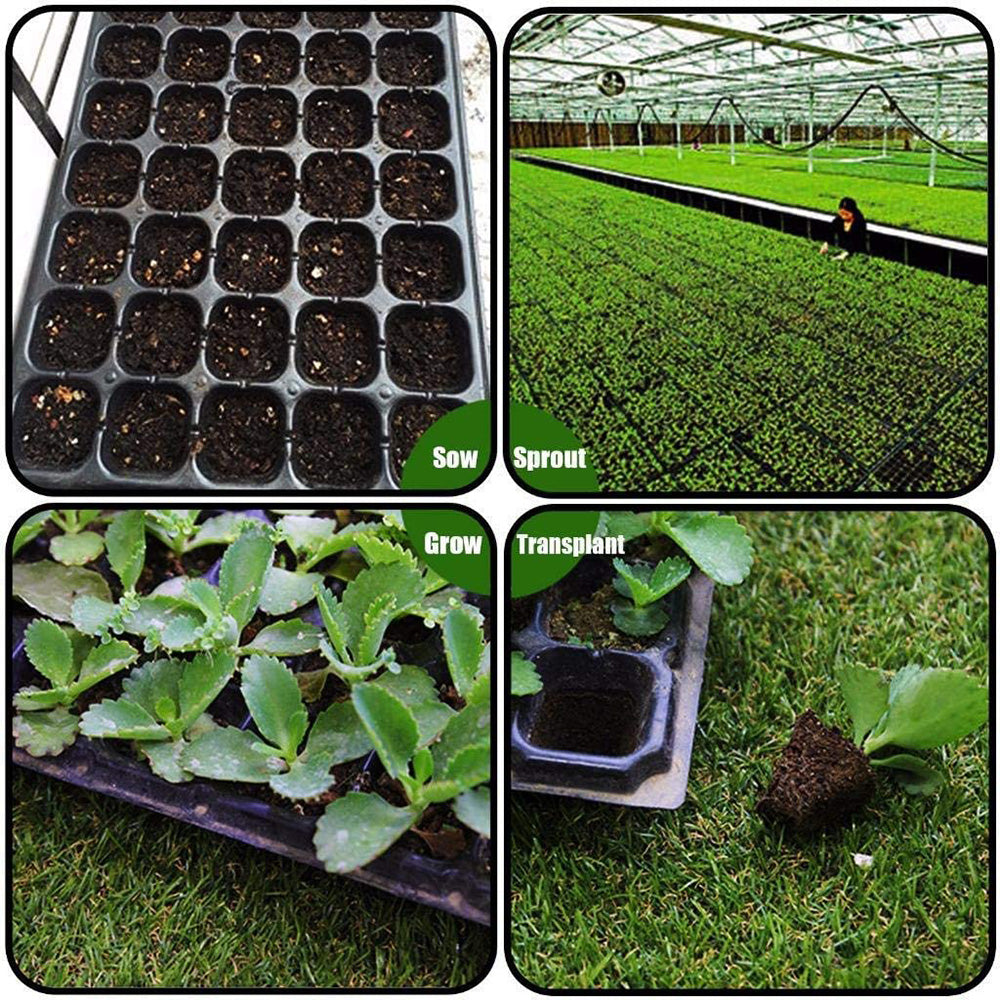 Growhouse 10Pcs Cells Seedling Starter Tray Extra Strength