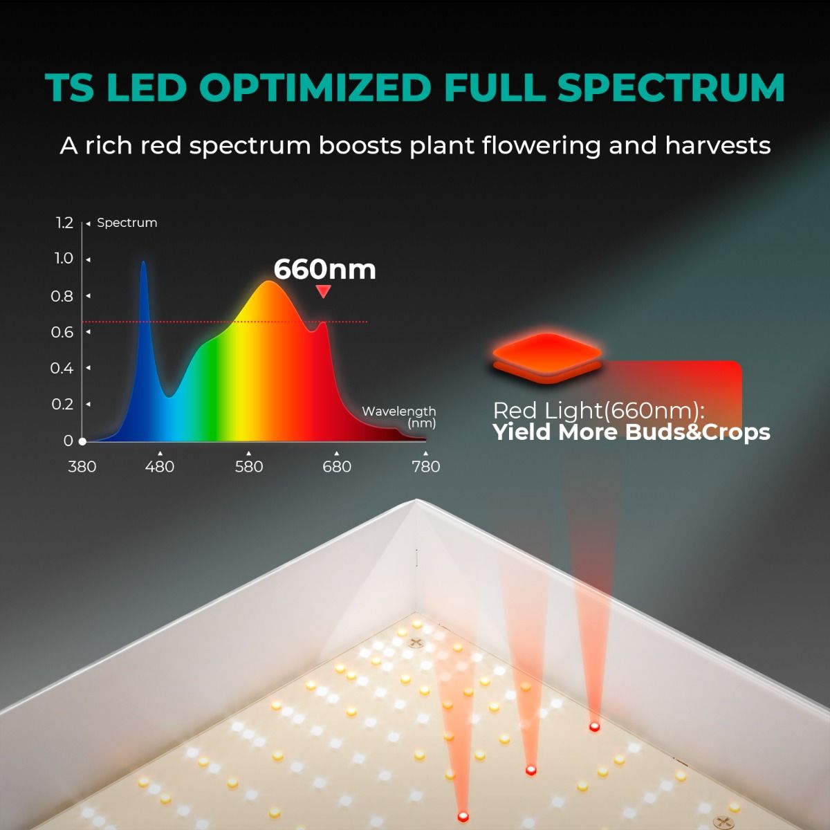 Mars Hydro TSL2000 LED Grow Light + 2'X4'(24"x48"x71") Indoor Complete Grow Tent Kits