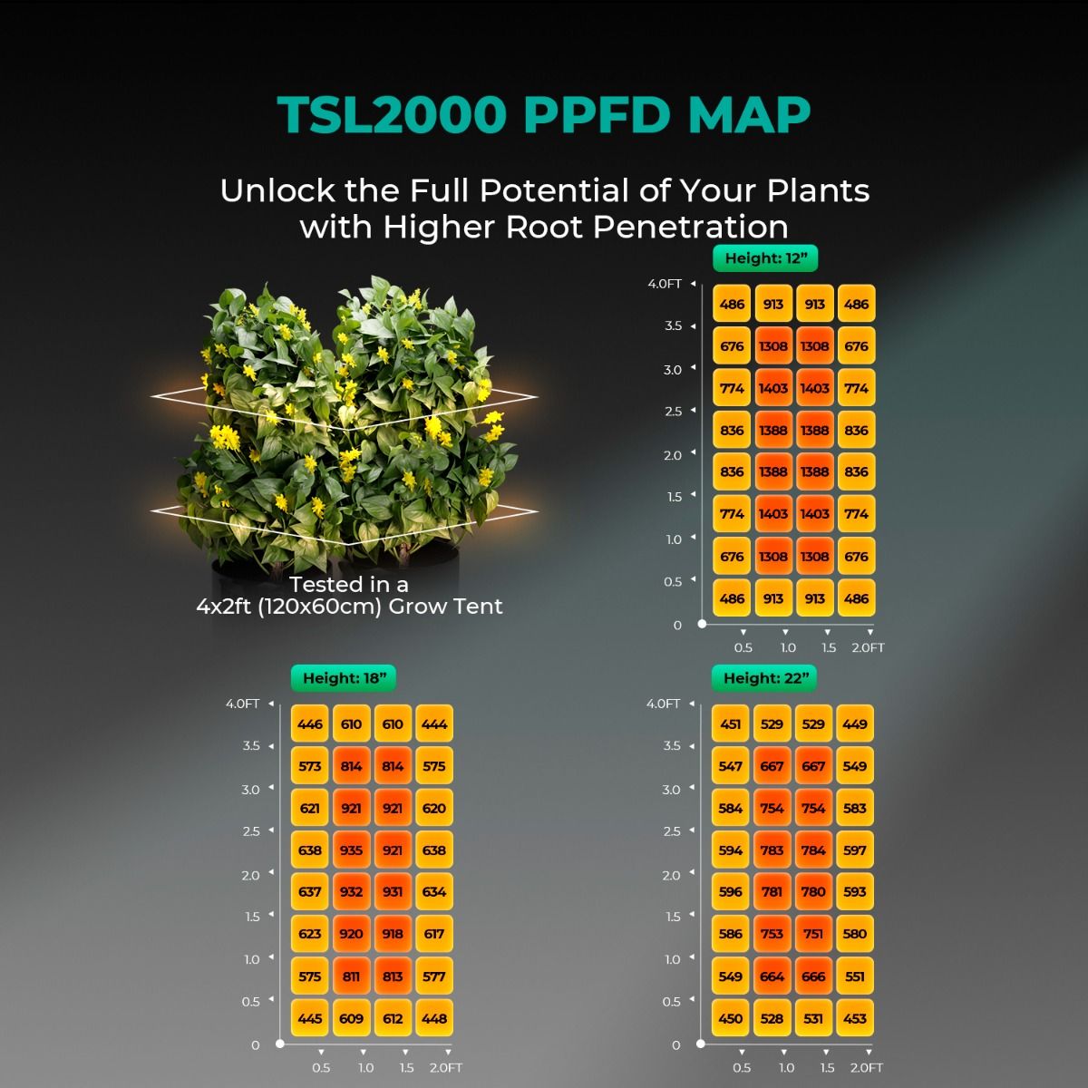 Mars Hydro TSL2000 LED Grow Light + 2'X4'(24"x48"x71") Indoor Complete Grow Tent Kits