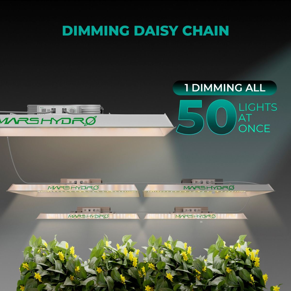 Mars Hydro TSW 2000 Full Spectrum 300W Dimming LED Grow Light