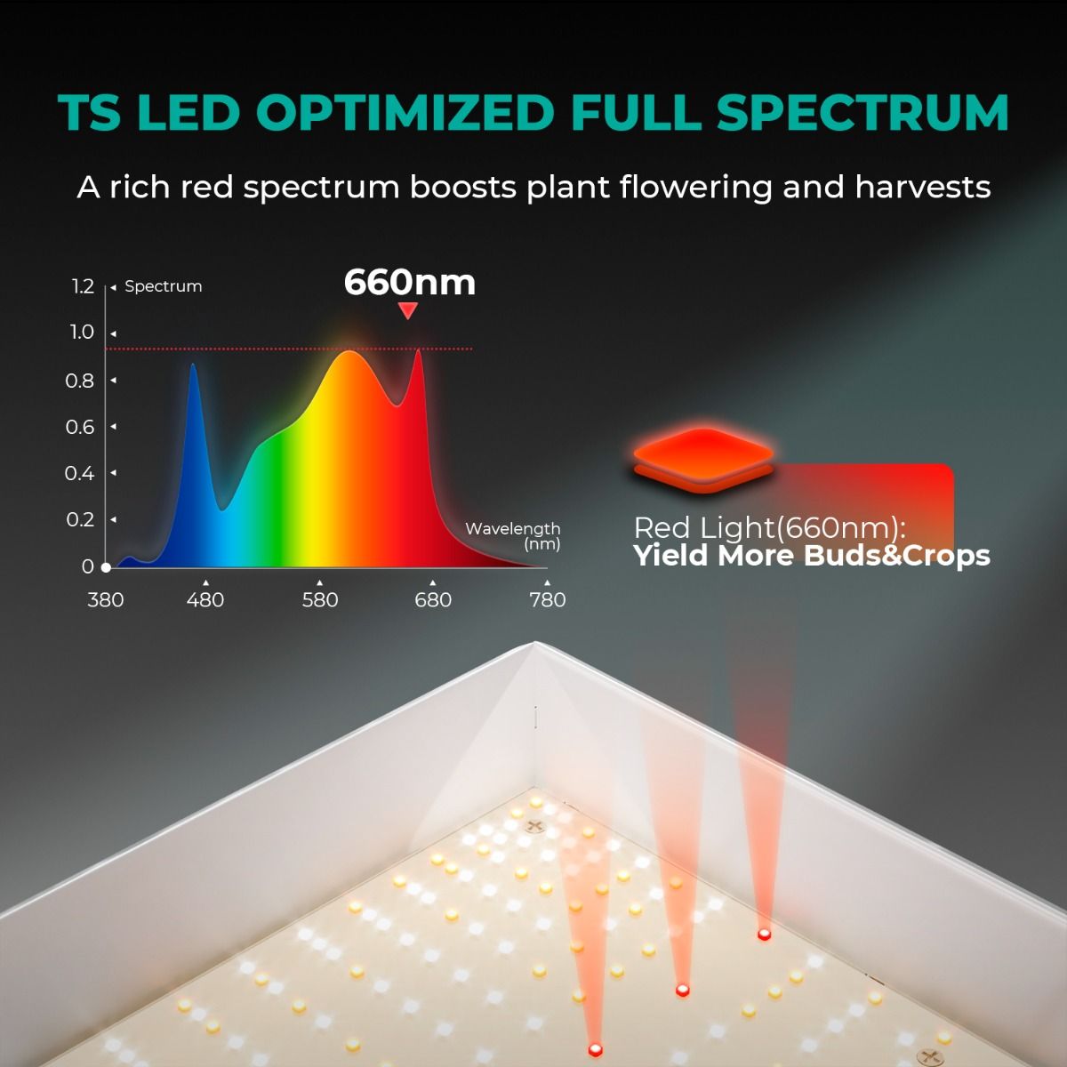 Mars Hydro TSW 2000 LED Grow Light + 4'X4'(48"x48"x80") Indoor Complete Grow Tent Kits(Pre-order,will be shipped out before 15th Aug.)