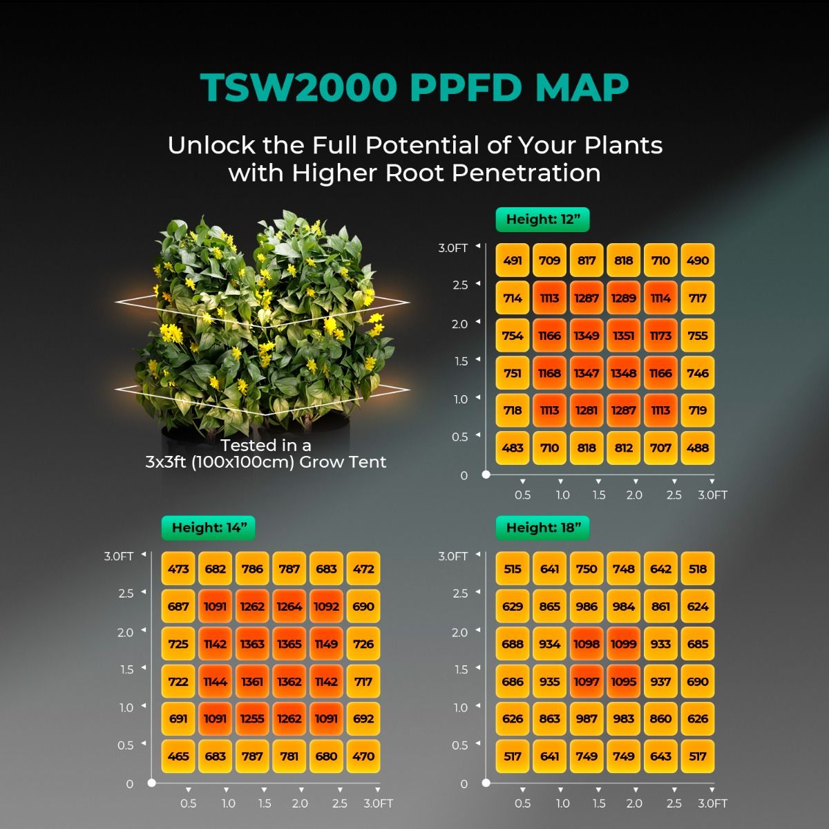 Mars Hydro TSW 2000 LED Grow Light + 4'X4'(48"x48"x80") Indoor Complete Grow Tent Kits(Pre-order,will be shipped out before 15th Aug.)