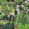 Growhouse Heavy-Duty Polyester Trellis Net - 6'' Mesh, Multiple Sizes for Climbing Plants